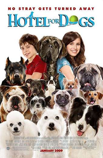 هتلی برای سگ‌ها