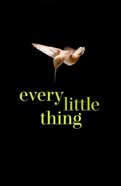 تک تک چیزهای کوچک